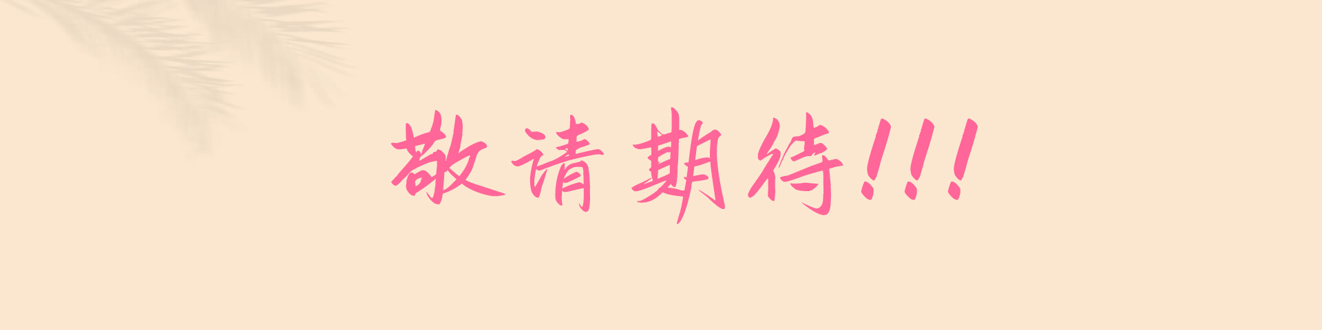 敬请期待